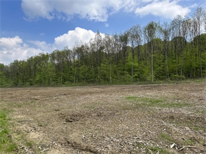 terrain à la vente -   90000  BELFORT, surface 1100 m2 vente terrain - APR743706